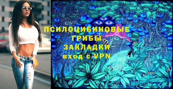 ПСИЛОЦИБИНОВЫЕ ГРИБЫ Алзамай