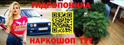 mdma Кингисепп