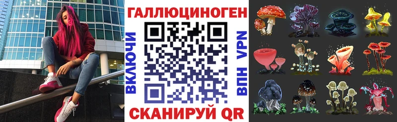Псилоцибиновые грибы MAGIC MUSHROOMS  Курчалой 
