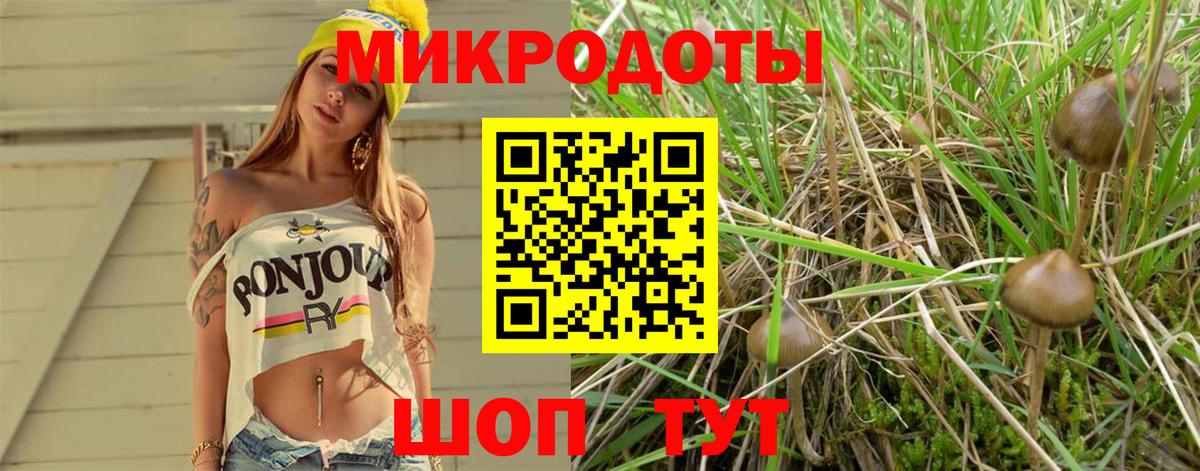 Псилоцибиновые грибы ЛСД Курчалой