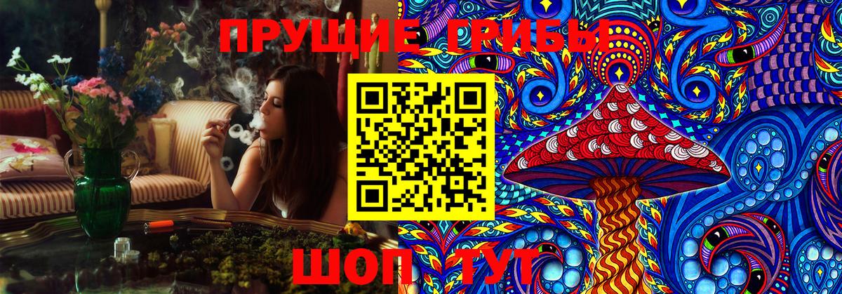 Галлюциногенные грибы MAGIC MUSHROOMS  Псилоцибиновые грибы Cubensis  Курчалой  Вход с VPN 
