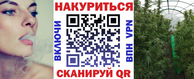OMG рабочий сайт Курчалой Конопля SATIVA & INDICA